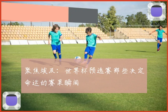 聚焦埃及:世界杯预选赛那些决定命运的赛果瞬间