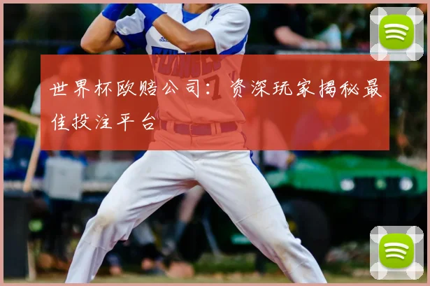 世界杯欧赔公司:资深玩家揭秘最佳投注平台