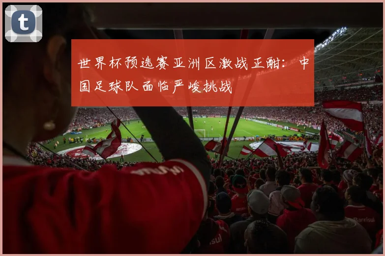 世界杯预选赛亚洲区激战正酣：中国足球队面临严峻挑战