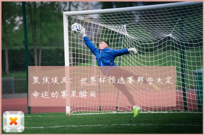 聚焦埃及:世界杯预选赛那些决定命运的赛果瞬间