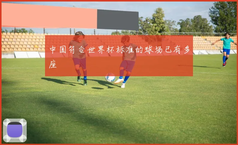 中国符合世界杯标准的球场已有多座