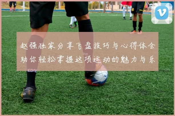 赵强独家分享飞盘技巧与心得体会助你轻松掌握这项运动的魅力与乐趣